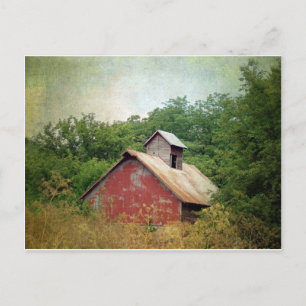 Abandoned and Overgrown Postcard