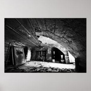 Abandoned Basement Poster