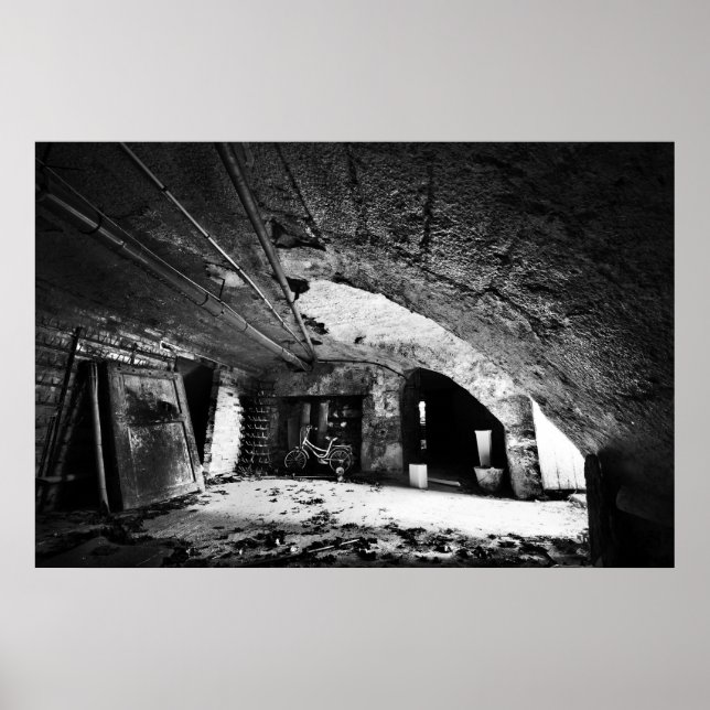 Abandoned Basement Poster (Front)