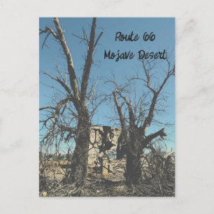 Abandoned Building, Route 66, Newberry Springs, CA Announcement Postcard