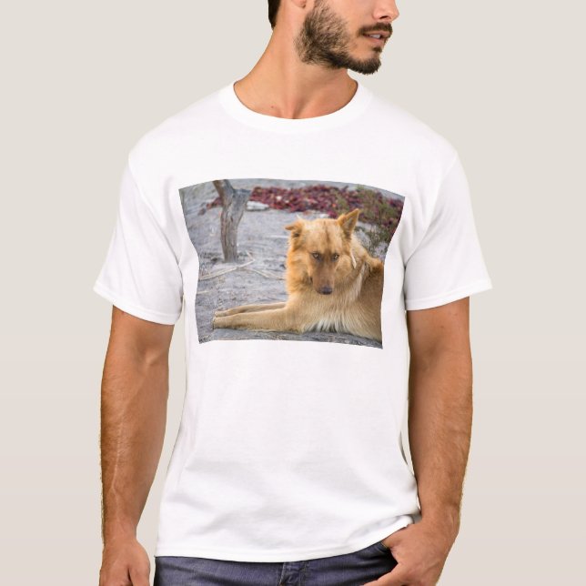 Abandoned Dog T-Shirt (Front)