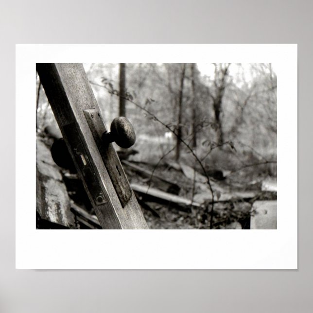 Abandoned Door in the Woods Poster (Front)