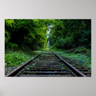 abandoned forest with train tracks poster