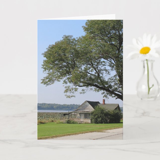 Abandoned House Mississippi River Illinois Card (Small Plant)