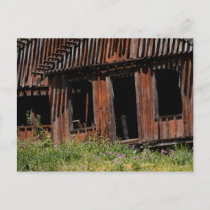 Abandoned House Postcard