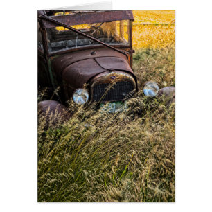 Abandoned old car in tall grass