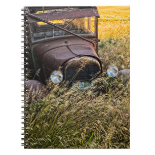 Abandoned old car in tall grass notebook