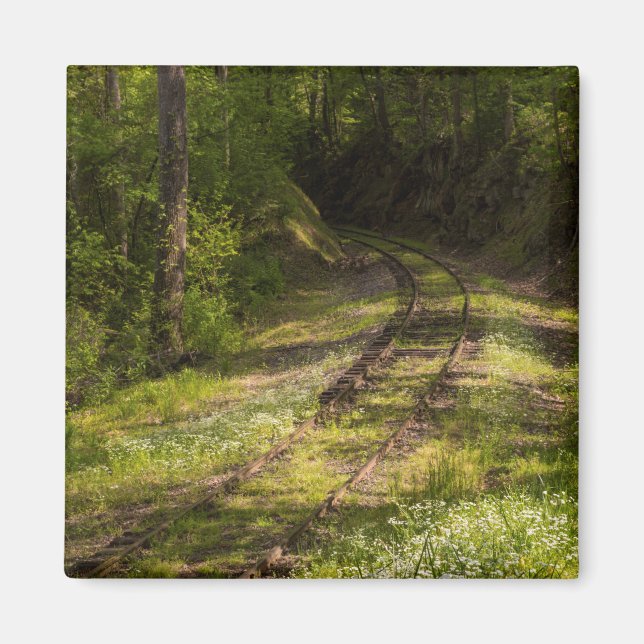Abandoned Railroad In A Forest Magnet (Front)
