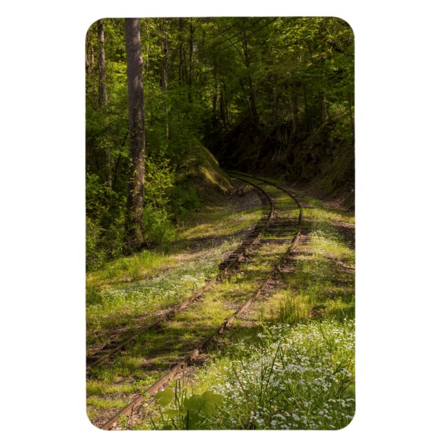 Abandoned Railroad In A Forest Magnet (Vertical)