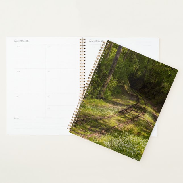 Abandoned Railroad In A Forest Planner (Display)