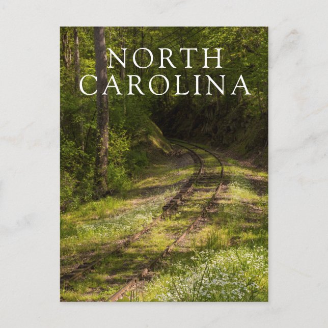 Abandoned Railroad In A Forest Postcard (Front)