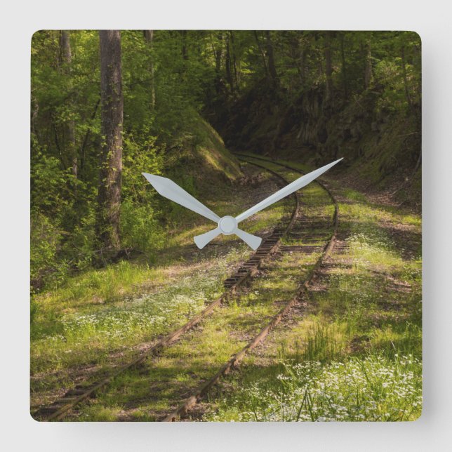 Abandoned Railroad In A Forest Square Wall Clock (Front)