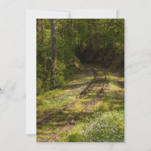 Abandoned Railroad In A Forest Thank You Card
