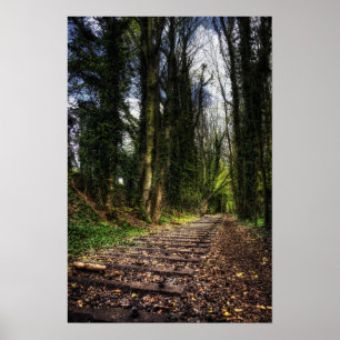 Abandoned Railway Tracks HDR Poster