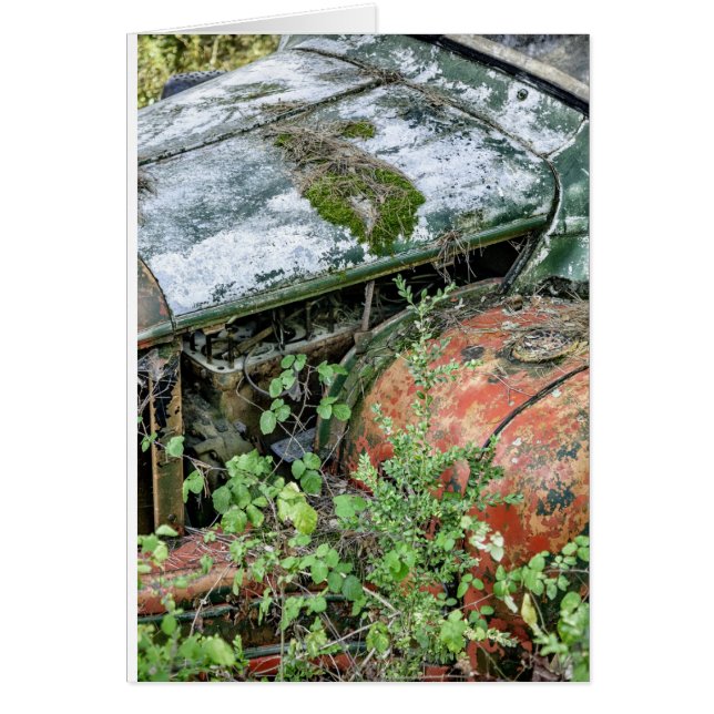 Abandoned Vintage Truck (Front)