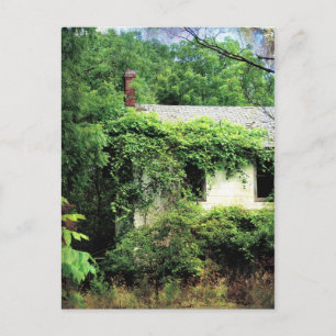 Abandoned White House in the Woods Postcard