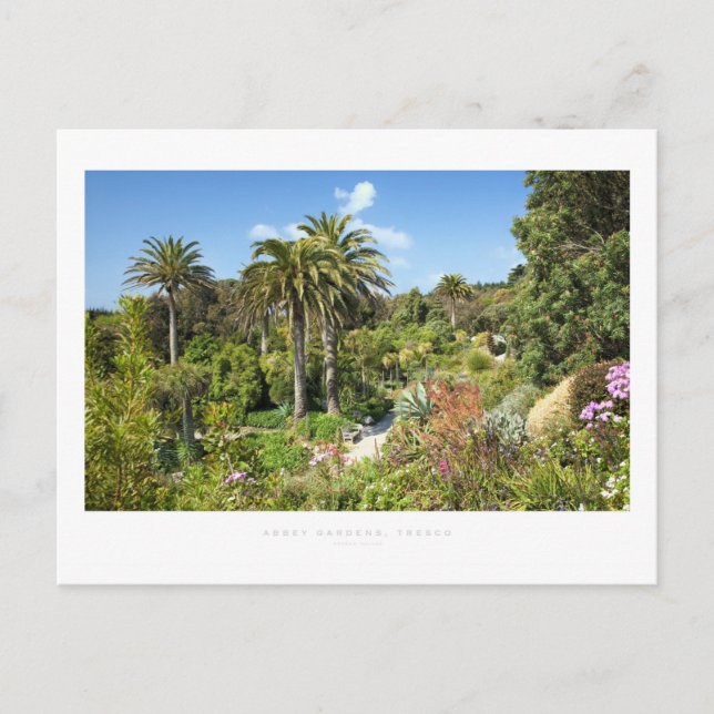 Abbey Gardens, Tresco Postcard (Front)
