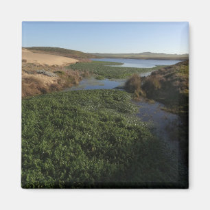 Abbotts Lagoon I at Point Reyes National Seashore Magnet