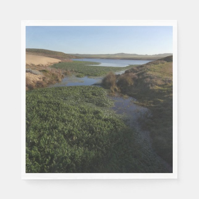 Abbotts Lagoon I at Point Reyes National Seashore Napkin (Front)