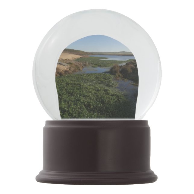 Abbotts Lagoon I at Point Reyes National Seashore Snow Globe (Front)