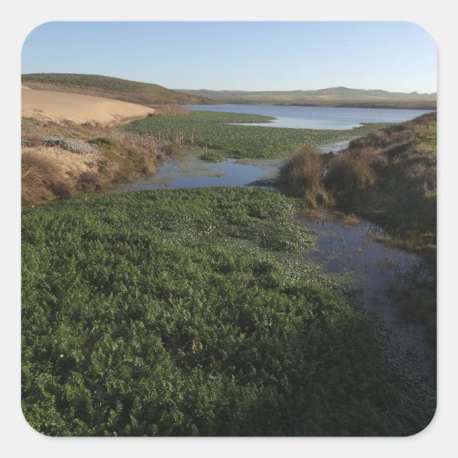 Abbotts Lagoon I at Point Reyes National Seashore Square Sticker (Front)