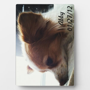 Abby 2012 plaque