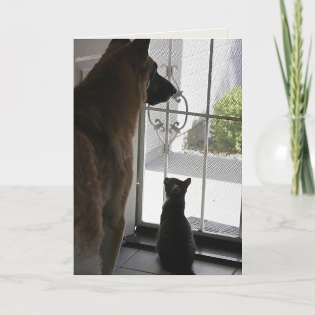 Abby and Zorro Miss You Greeting Card (Front)
