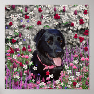Abby in Flowers – Black Lab Dog Poster