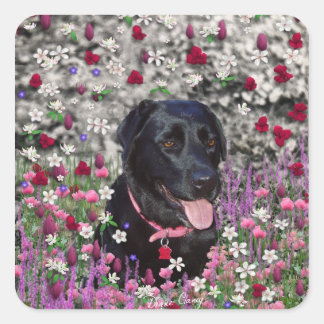 Abby in Flowers – Black Lab Dog Square Sticker