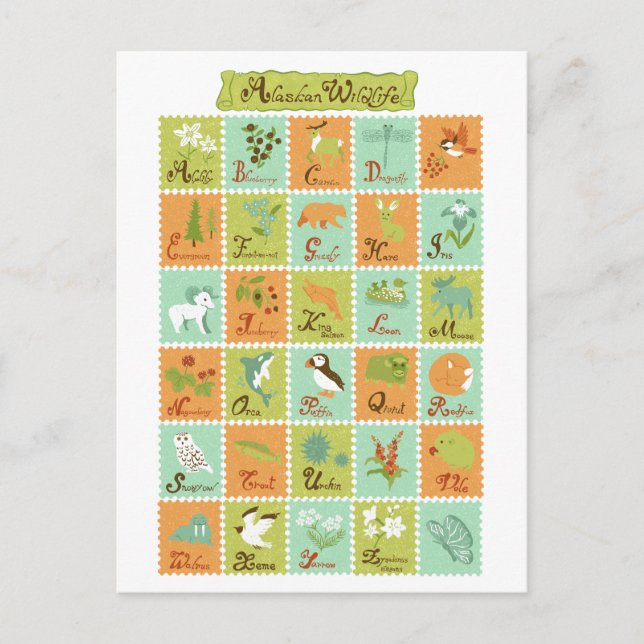 ABC Alaskan Wildlife Postcard (Front)