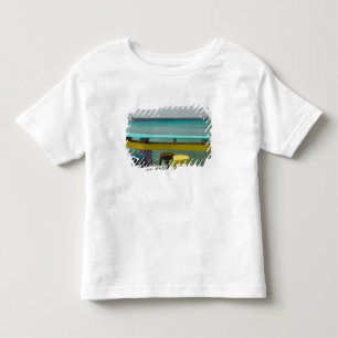 ABC Islands, BONAIRE, Kralendijk: Ocean View Toddler T-Shirt