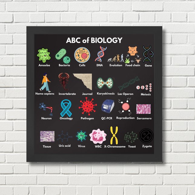 ABC of Biology Poster (Creator Uploaded)