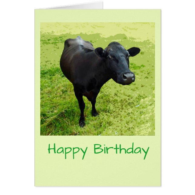 Aberdeen Angus Birthday card (Front)