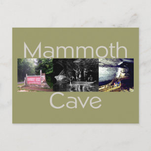 ABH Mammoth Cave Postcard