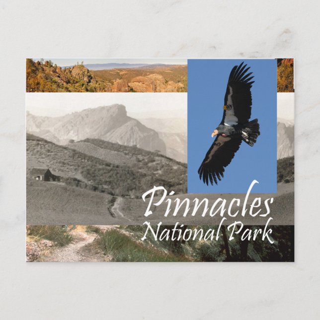 ABH Pinnacles NP Postcard (Front)