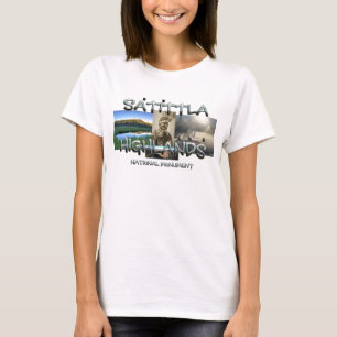 ABH Satittla National Monument NM Ladies T-Shirts