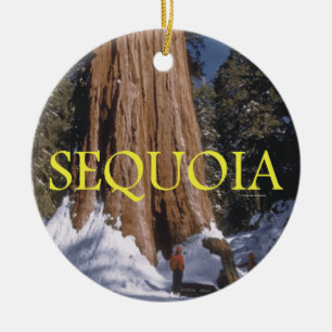 ABH Sequoia Ceramic Ornament