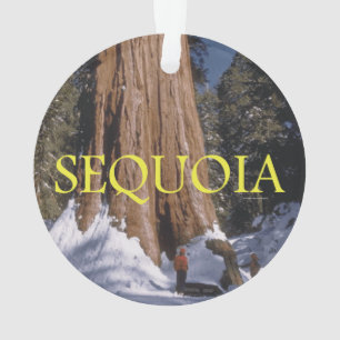 ABH Sequoia Ornament