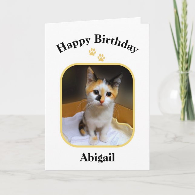 Abigail Calico Kitten Happy Birthday Card (Front)