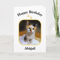 Abigail Calico Kitten Happy Birthday
