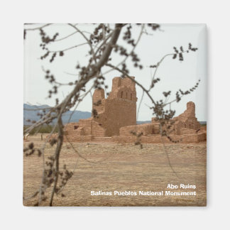 Abo RuinsSalinas Pueblos National Mon... Magnet