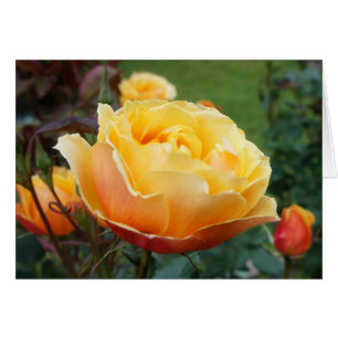 About Face Rose #2 Card