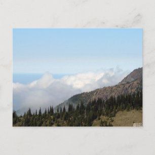 Above the Clouds Postcard