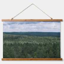 Above The Trees Forest And Clouds Landscape Photo