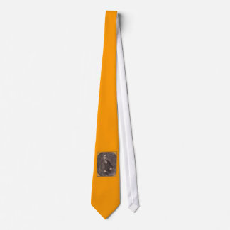 Abraham Lincoln tie. Tie
