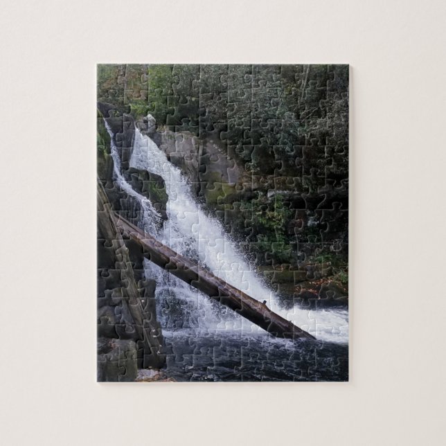Abrams Falls Jigsaw Puzzle (Vertical)