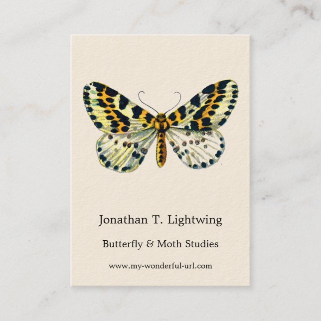 Abraxas grossulariata, The Magpie Moth Colour Imag Business Card (Front)