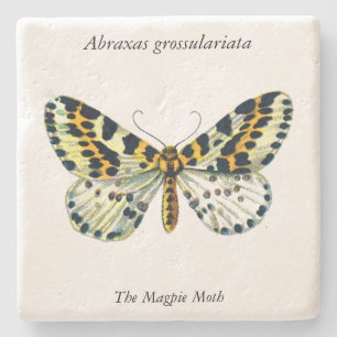 Abraxas grossulariata, The Magpie Moth Colour Imag Stone Coaster