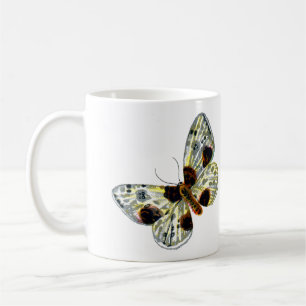 Abraxas sylvata - The Clouded Magpie Moth Coffee Mug