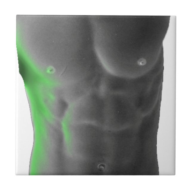 Abs Ceramic Tile (Front)